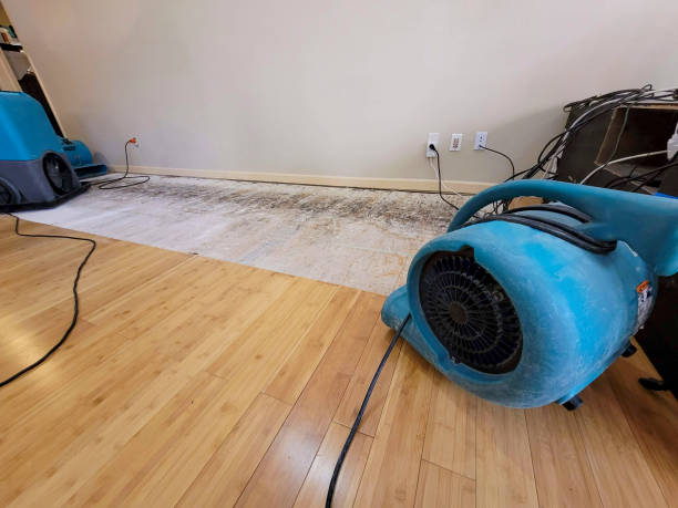 Professional Water Removal technician working in Penwell, TX